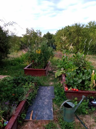 Môj prvý rok v záhradke - pestovanie vo vyvýšených záhonoch